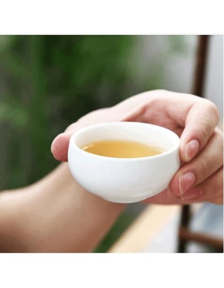 Tea Set, Chinese Tea Set Kung Fu Tea Set Ceramic Portable Teapot Porcelain Teaset Gaiwan Tea Cups of Tea Ceremony Tea Tool (White 22 * 14 * 9cm) (Green 22 * 14 * 9c