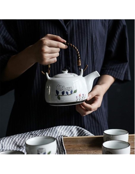 Chinese Tea Set Cute Owl Pattern Glaze Japanese Style Teapot with Handle and Tea Cups Set Service for 4 Adult Beautifully Packaged in Box Ceramic Tea Sets